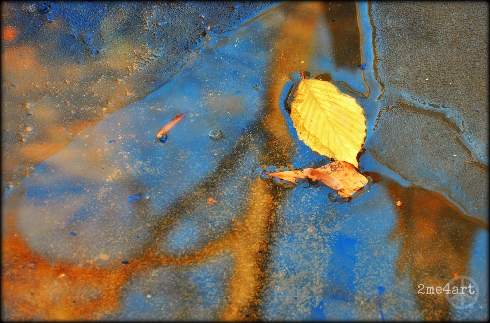 i see the sky above it