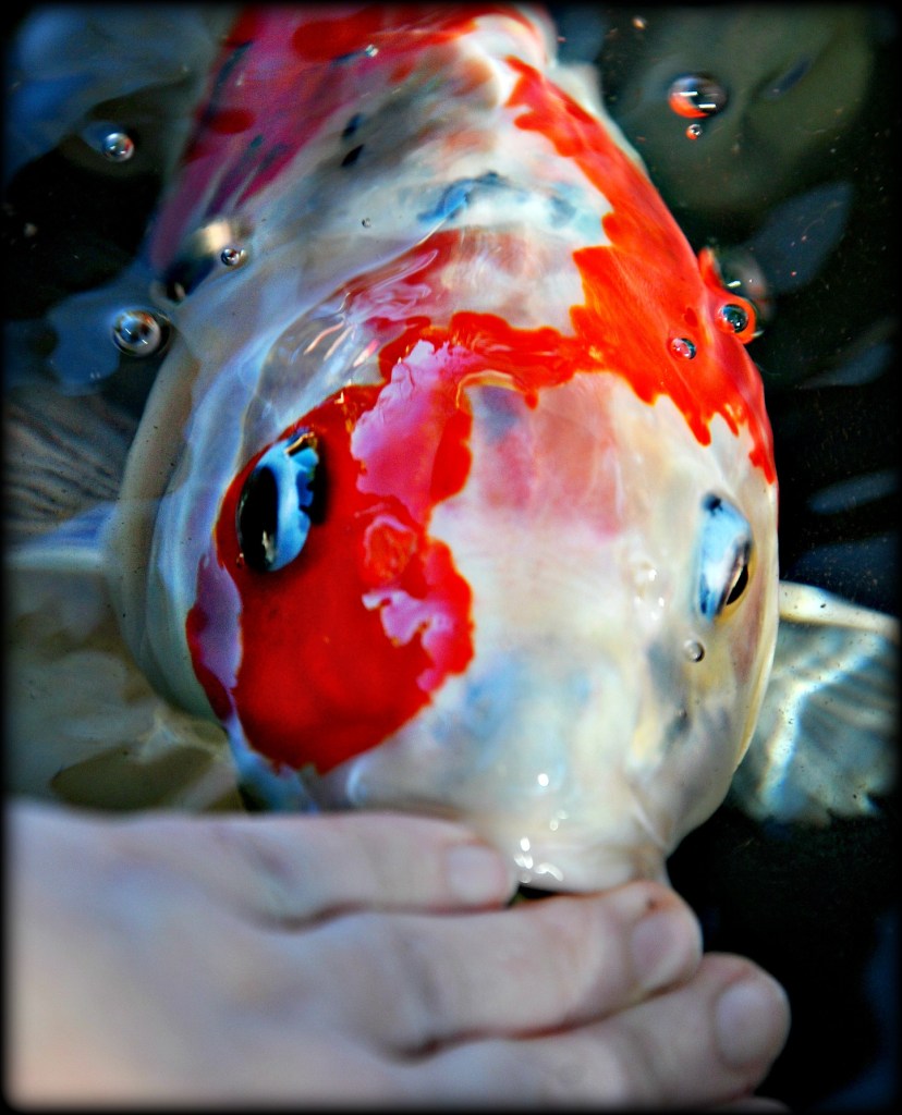 three time is a charm. He loves me