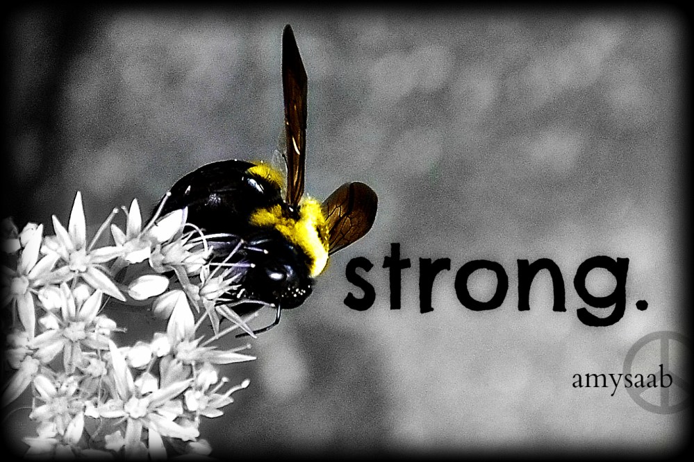 a wee card 2x3, that will go along w/ wee flowers. my photos, my art, my garden. breath, amy.