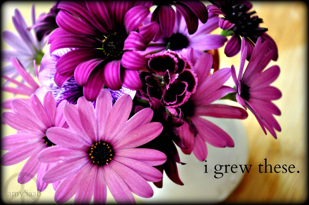 I have 3 cut flower gardens @ home & I fill my home with flowers in wee vases. In winter, I rely on others for flowers…but soon, I will be digging in the dirt again.