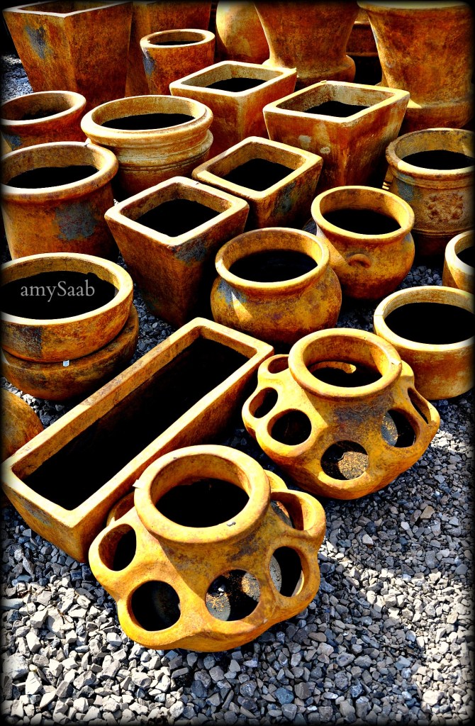 Daily Prompt: circles