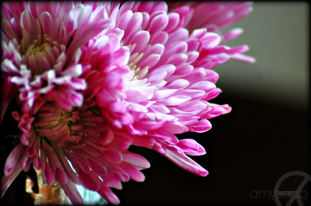 not really. this color seems to be shouting