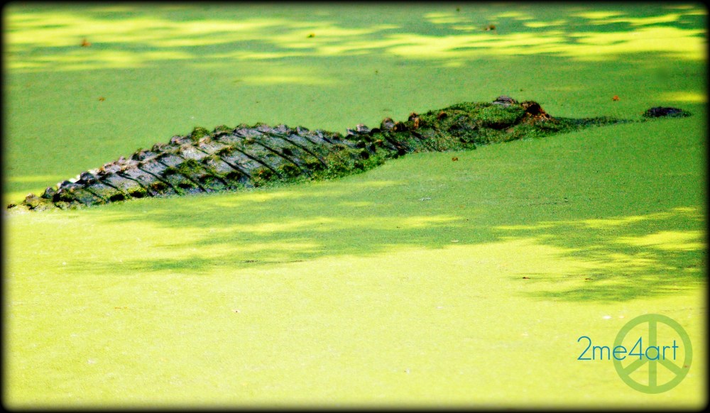 & boy, do they send a chill up the back of my neck