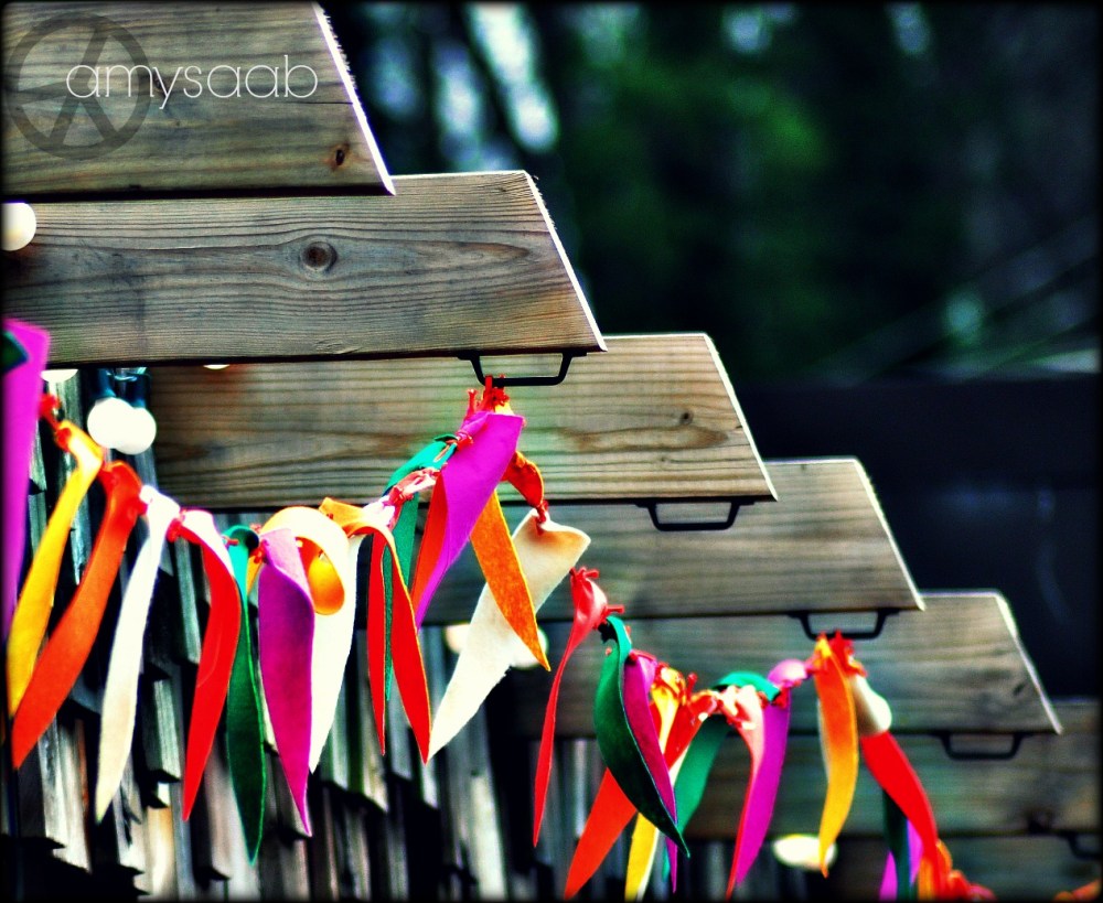 celebrate color in the dull Alabama winter