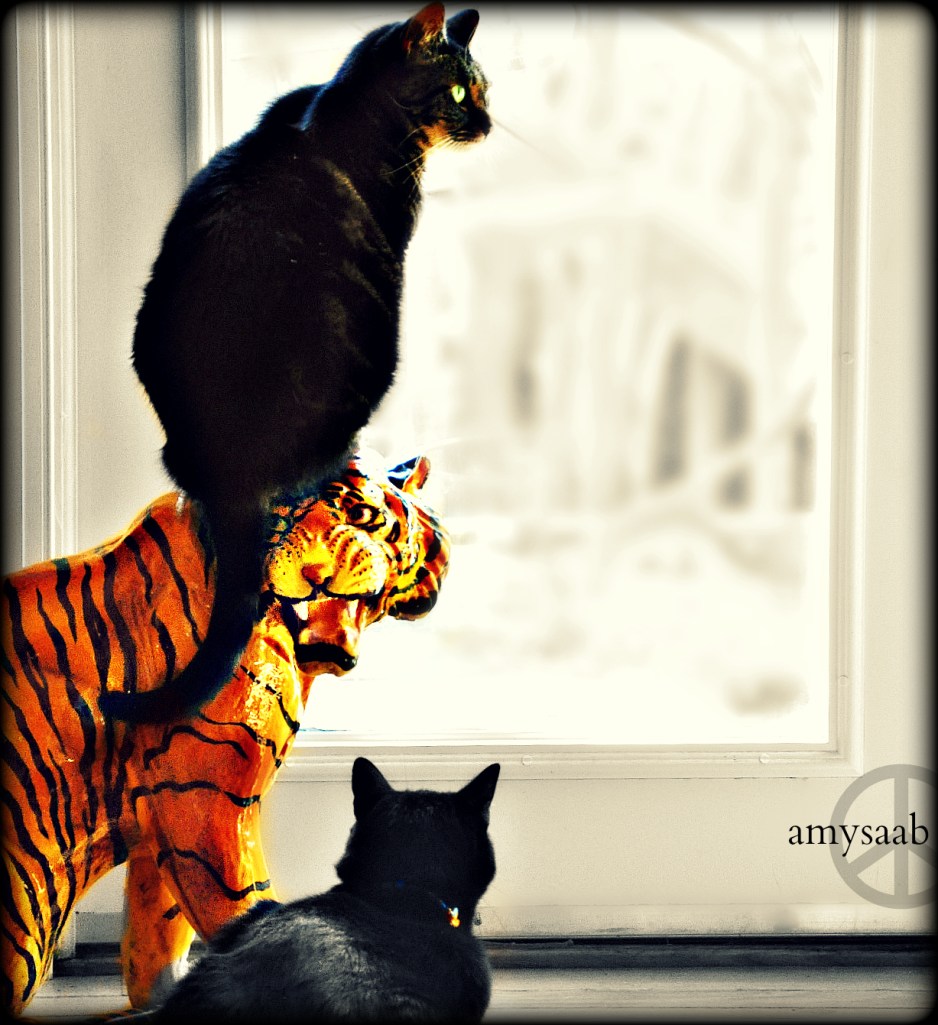 what luck! I had my camera in hand, when I saw Hobbes on Grandmother's tiger. I love it!!!