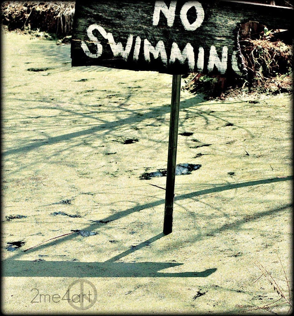 um…wouldn't dream of it