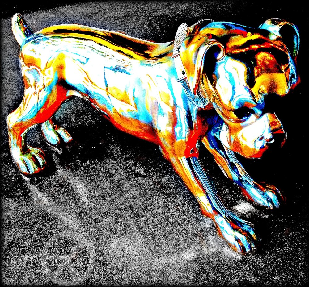 i had to pop the color