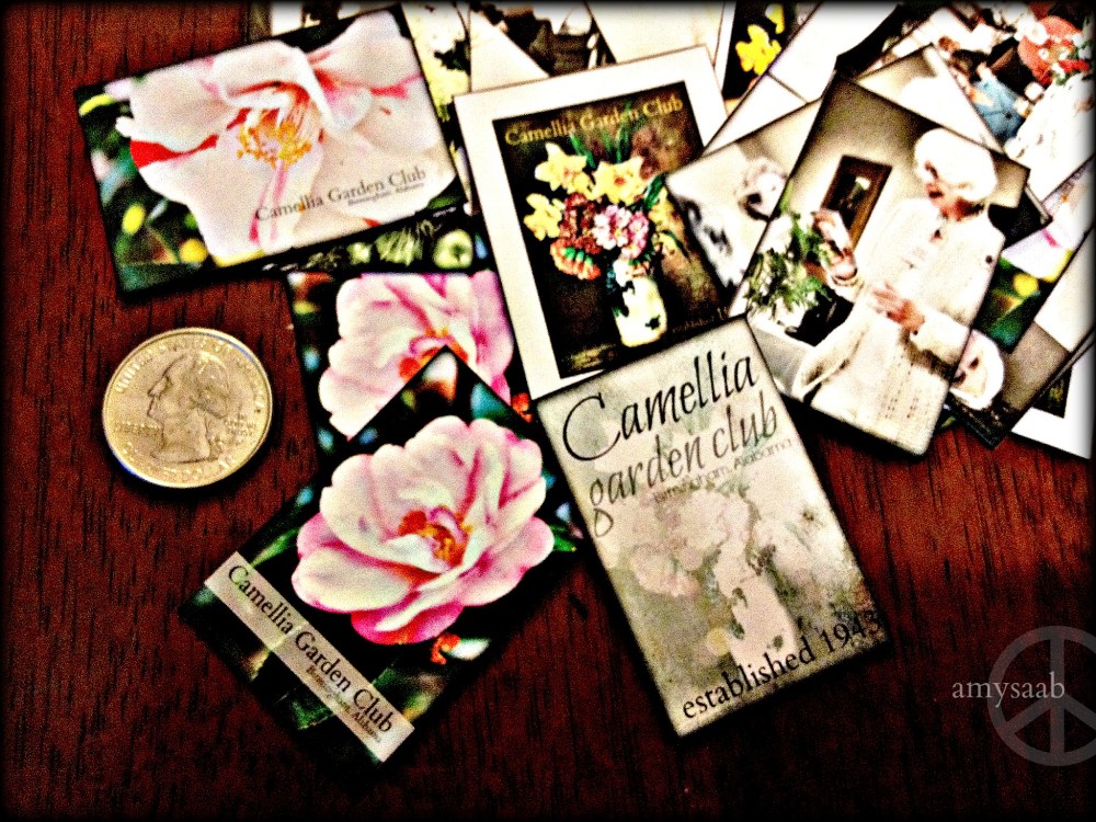 i took this with my iPhone. forgive the quality of image. it is to show the idea I have to combine my photography, art & flowers (which haven't been put together yet) for an upcoming event.  I had too much fun today, using old images for graphic design. I learned how to do all of this kind of stuff from my amazingly talented Mom. 