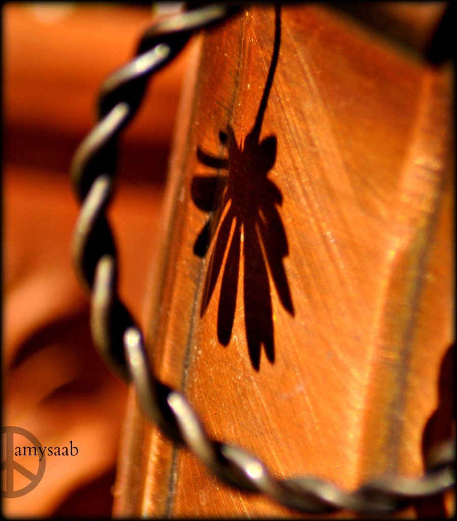 Mother Nature leaves art everywhere, but if you blink, you might miss it.