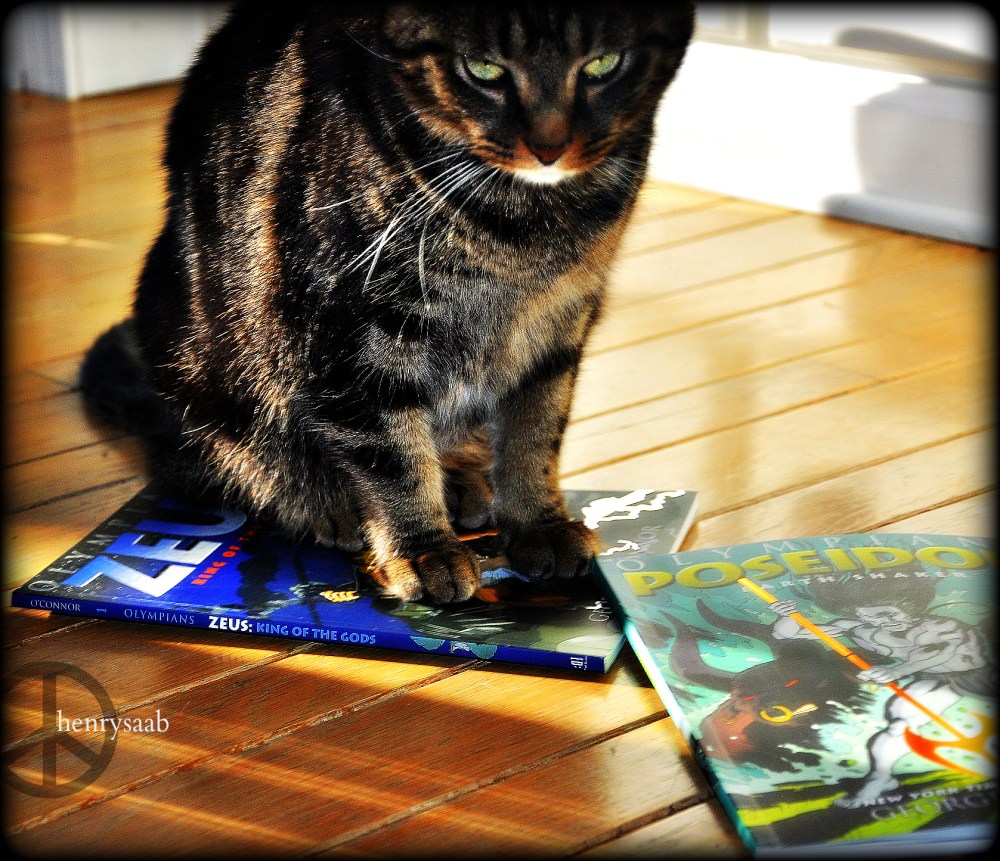 Hobbes didn't like anything getting photographed other then HIMSELF.