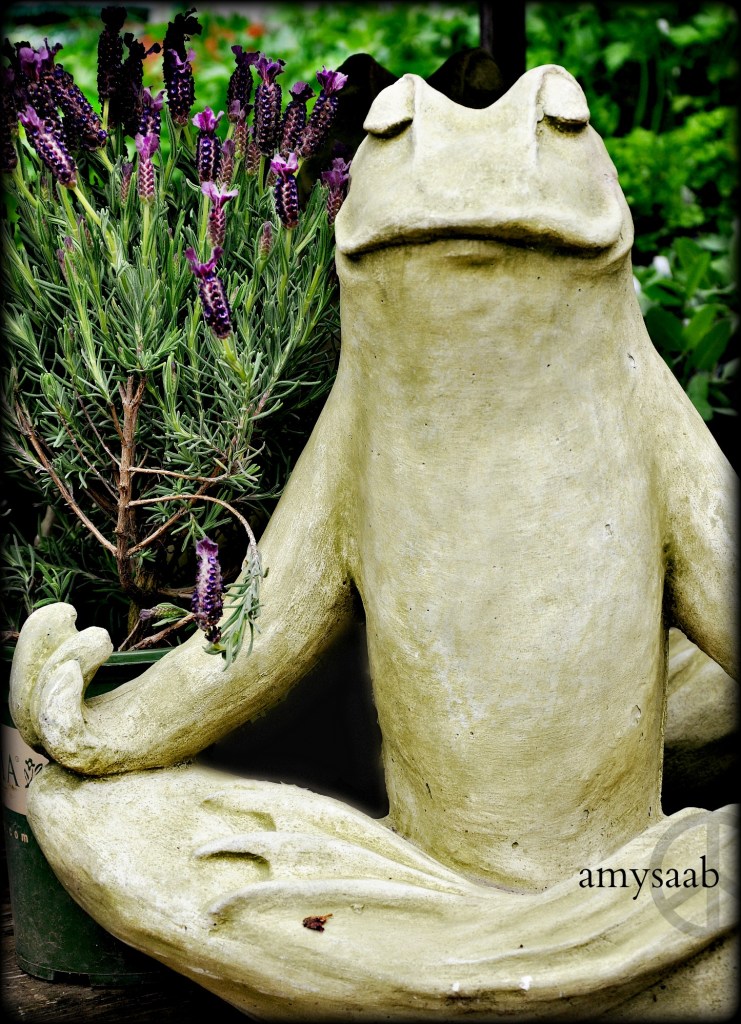 and find him. (Husband, he is @ Leaf & Petal.)