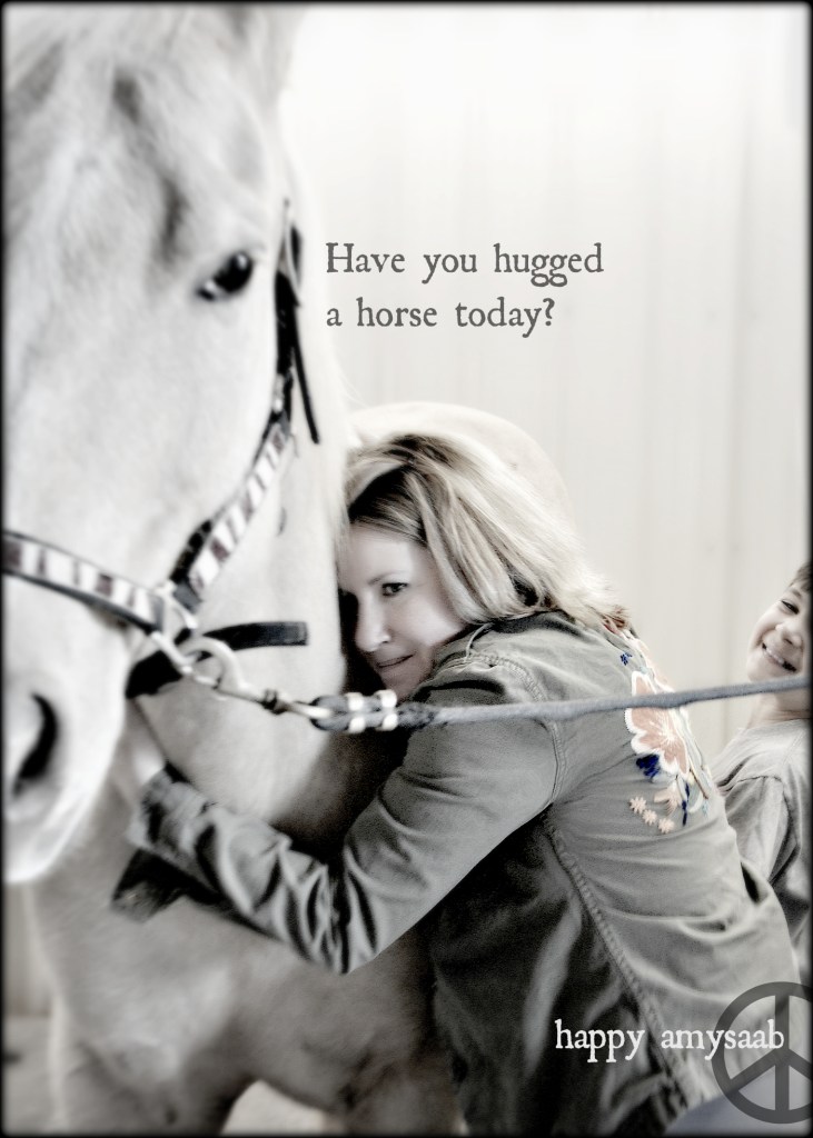 This is the horse I rode on Saturday @ Triple E Farm. Happy me.  I'm going to do more things in my life that make me feel good. At least one or two really good things a day. Not just work, laundry, vacuuming. I'm going to paint, draw, play with my dog, snuggle with a cat at noon--because I can. Try to live in the moment. No past unless it brings peace, no future unless i have plans that shine. 