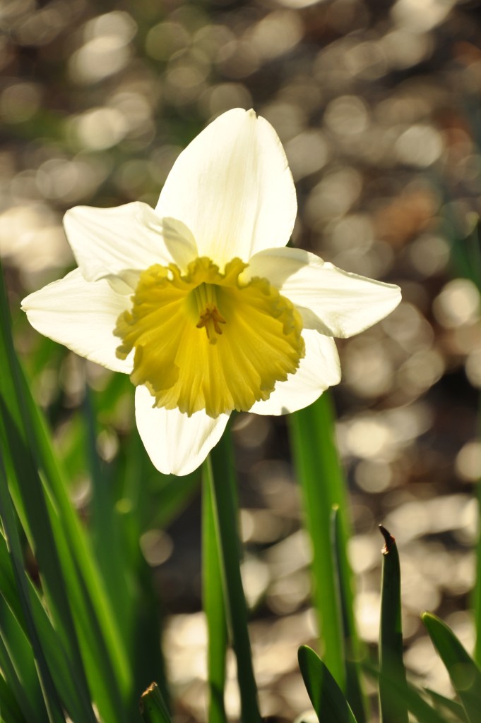 ah, sweetheart…look at you shine.
