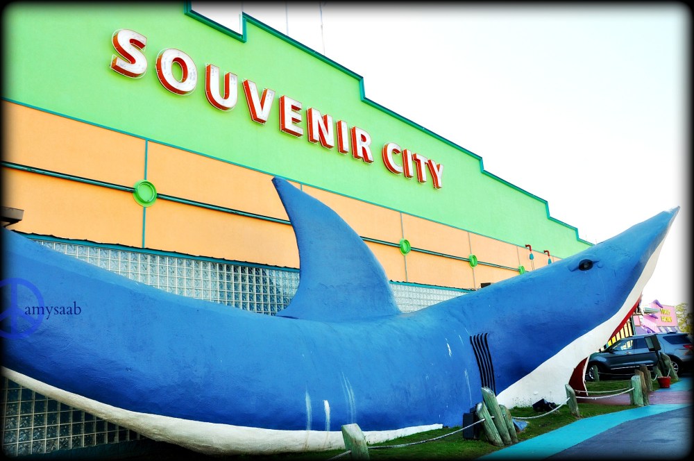 Junk galore! Full of beach style stuff. I bought a bumper sticker that reads, "gulf shores" & stuck it onto my iPad.  