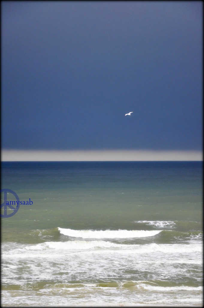 taken from the patio in Gulf Shores, Alabama.