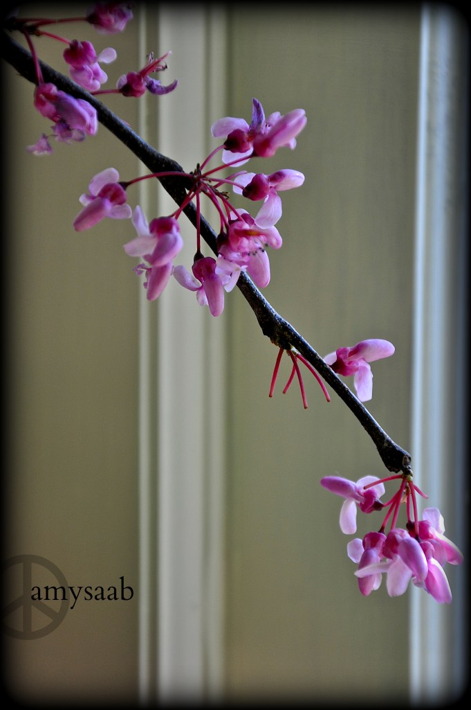 God's version of Sugar on a stick