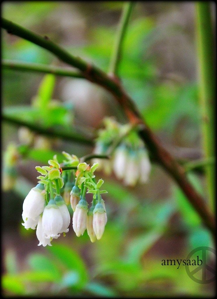 Perhaps this is the origin of the Christmas ornament? 