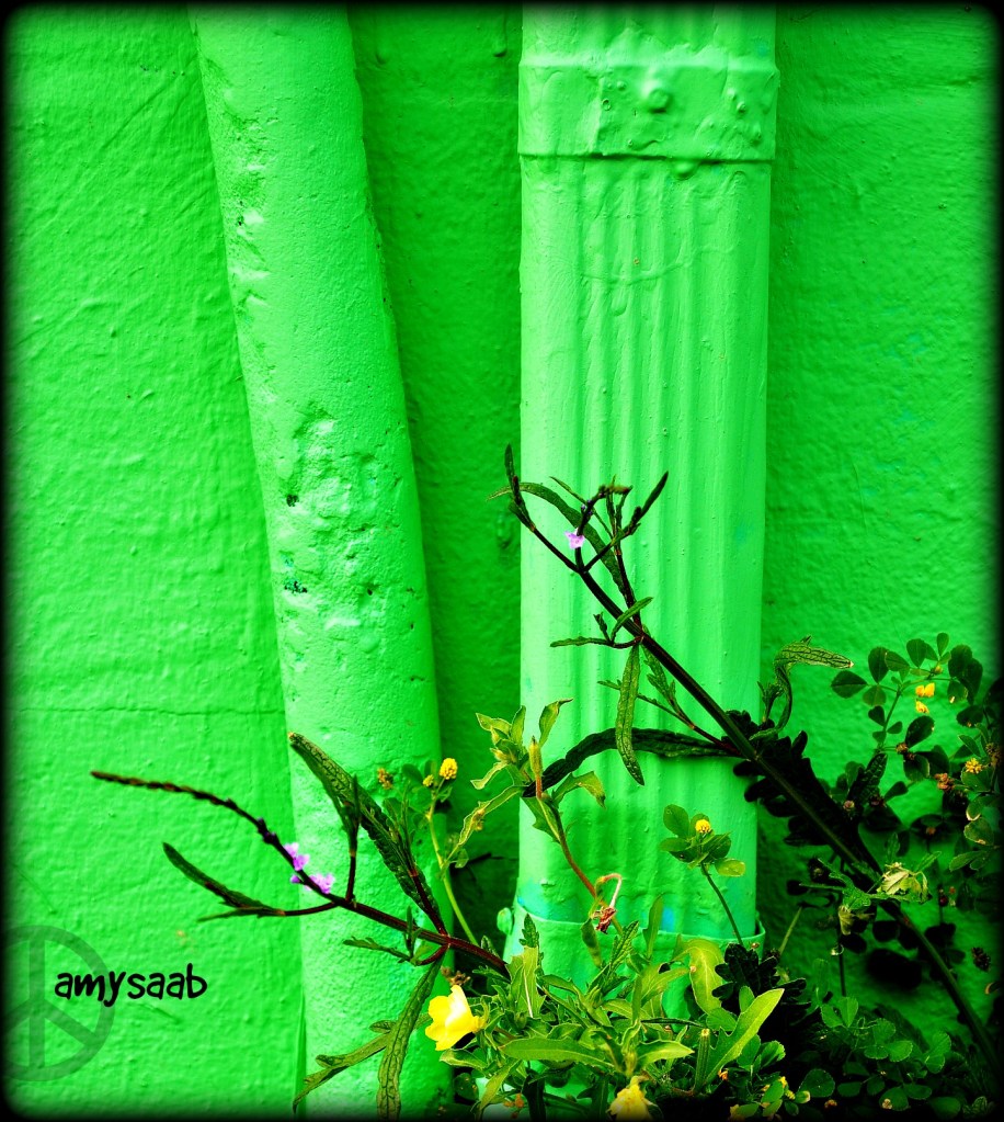 um, maybe a little brighter would work. 