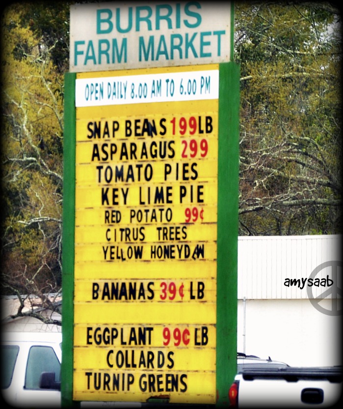 veggies, tomato pie, Key lime pie, citrus trees & bananas...?!