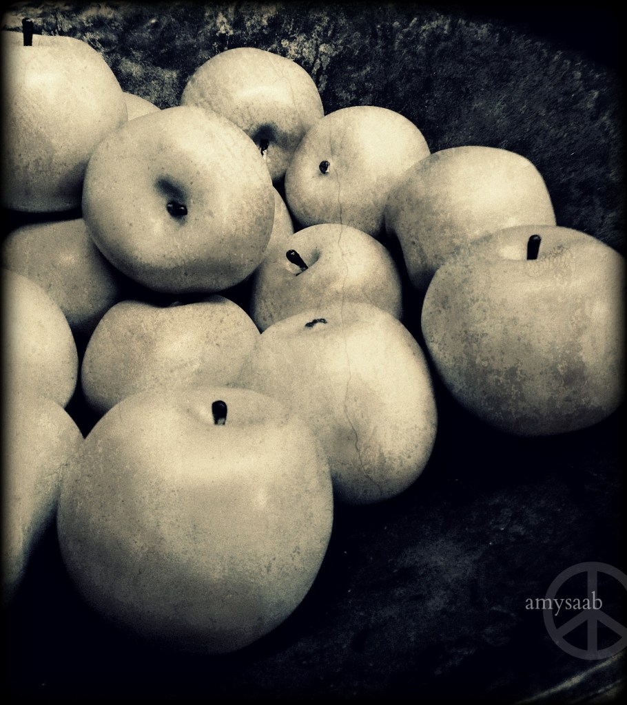 taken @ Leaf & Petal today via iPhone.