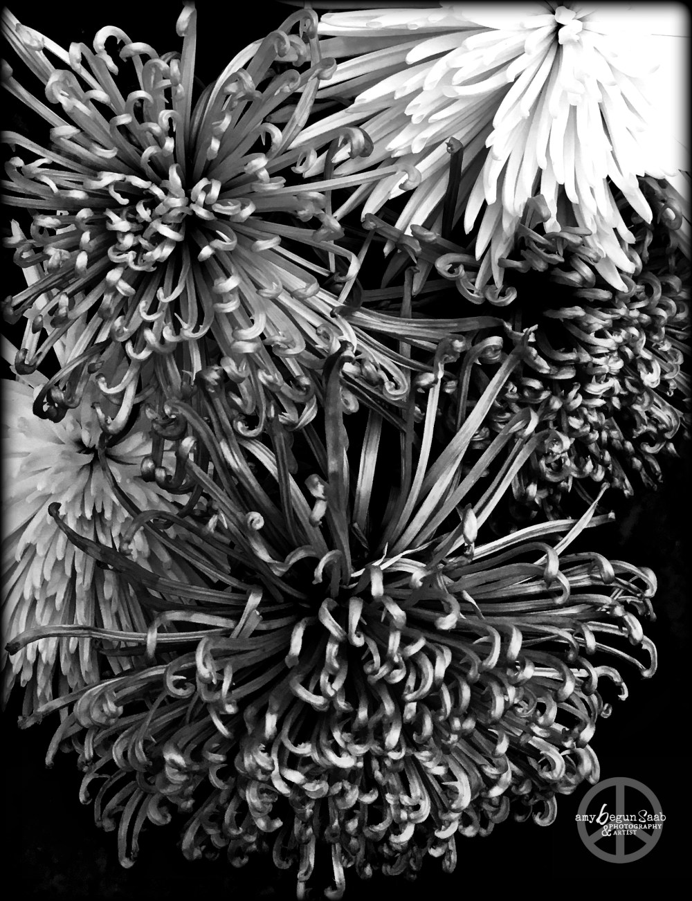 blackandwhitemums